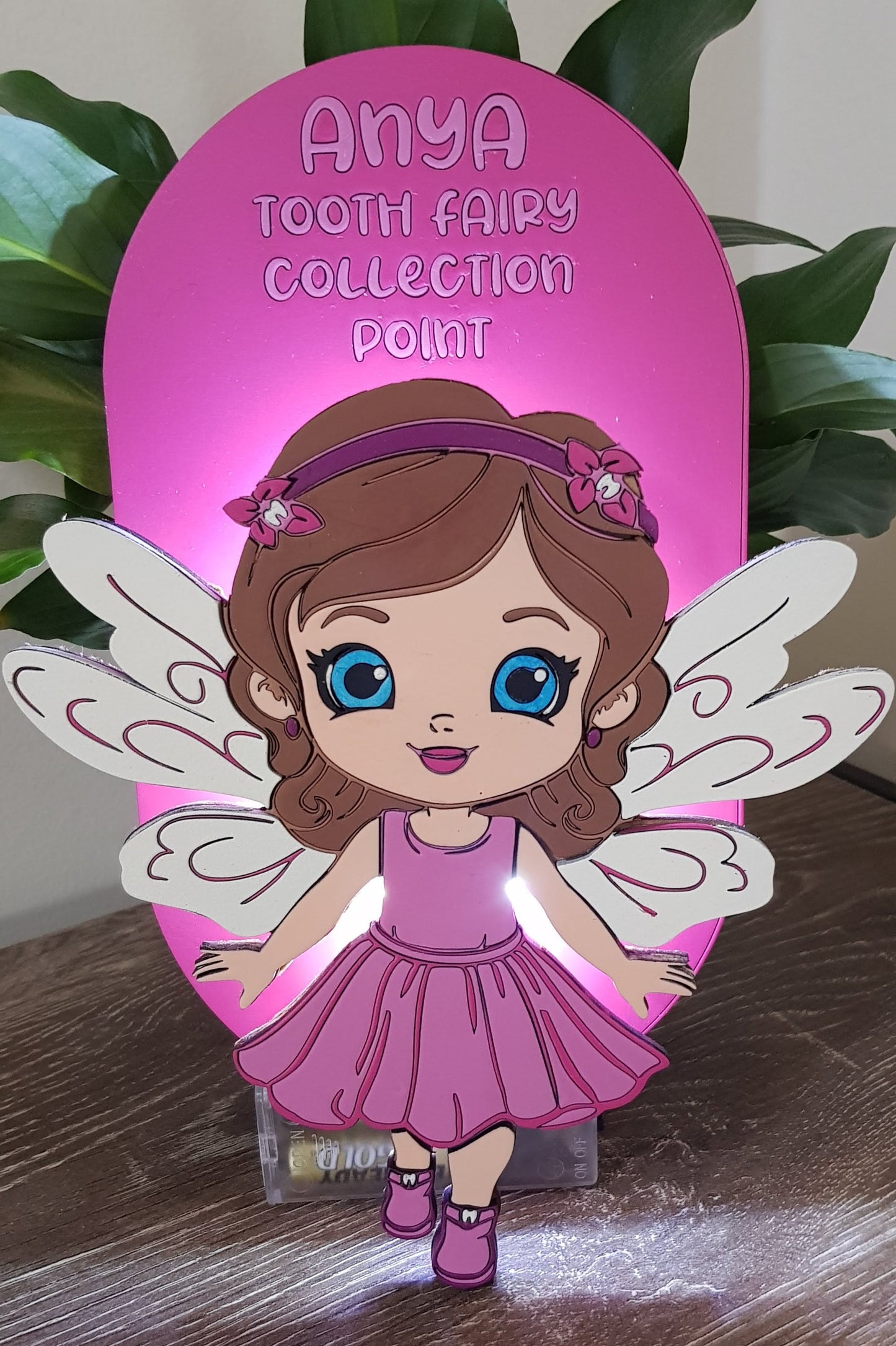 Tooth Fairy Collection Point for Girls